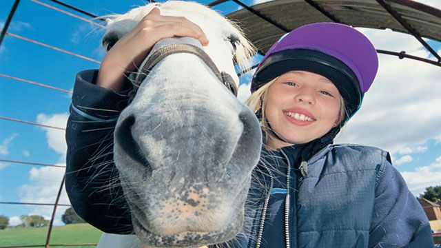 Pony Camp Beginner